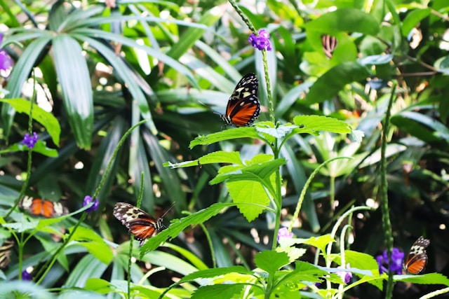 Von tiefgründigen Schmetterlingen und Beziehungsdingen – ein wunderschönes Glück