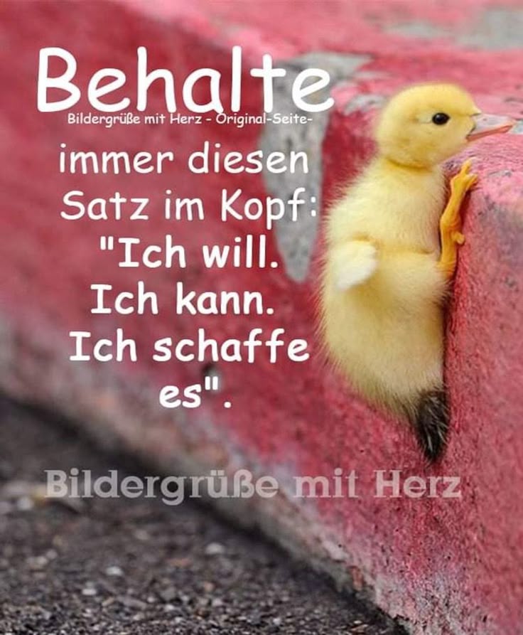 “Just a stranger on the bus, trying to make his way home …”