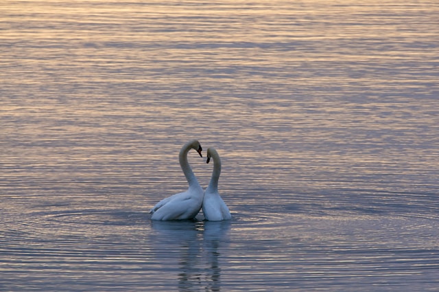 An dich – was ist Liebe?